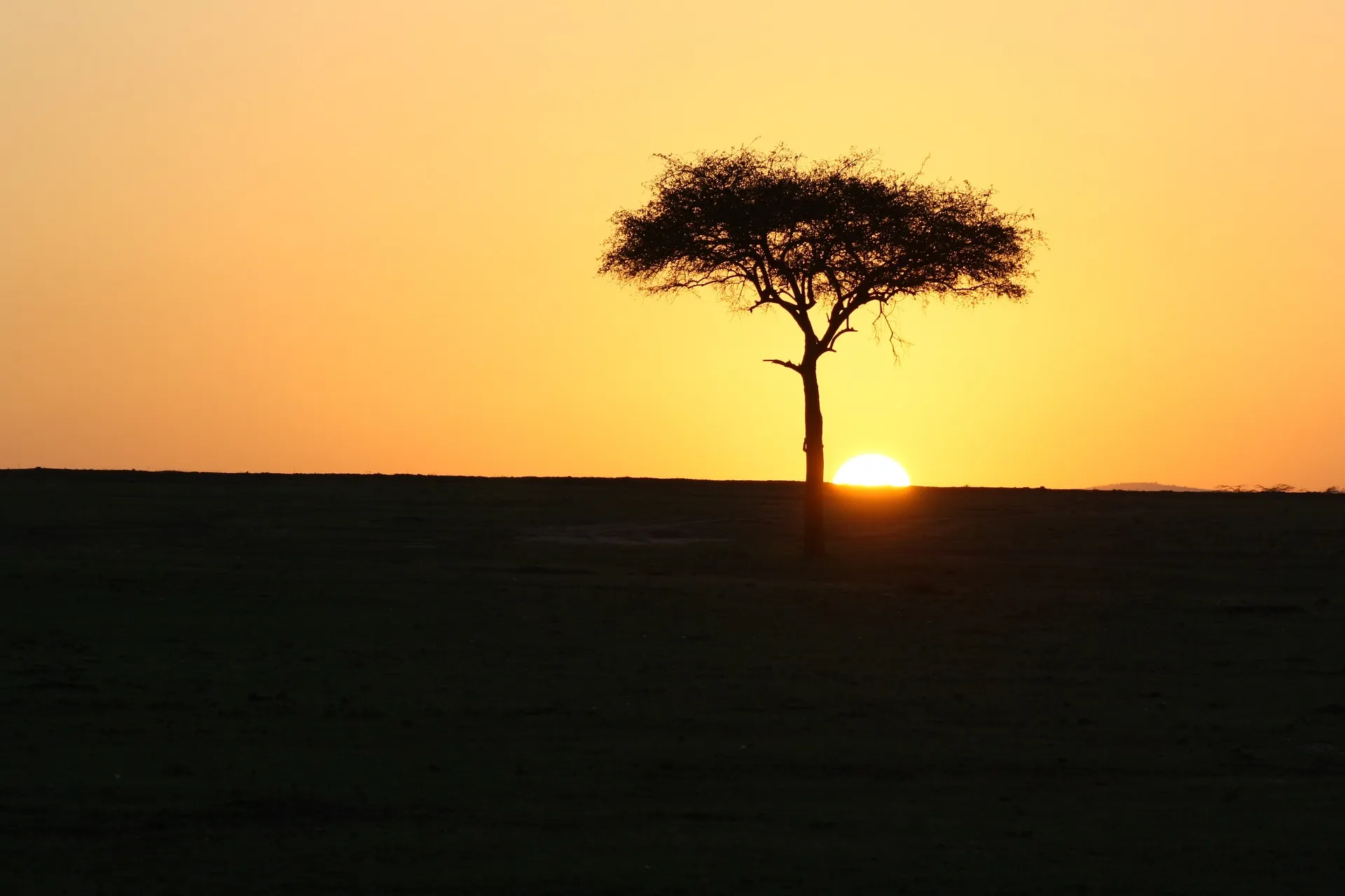 beautiful sunset at Masai Mara