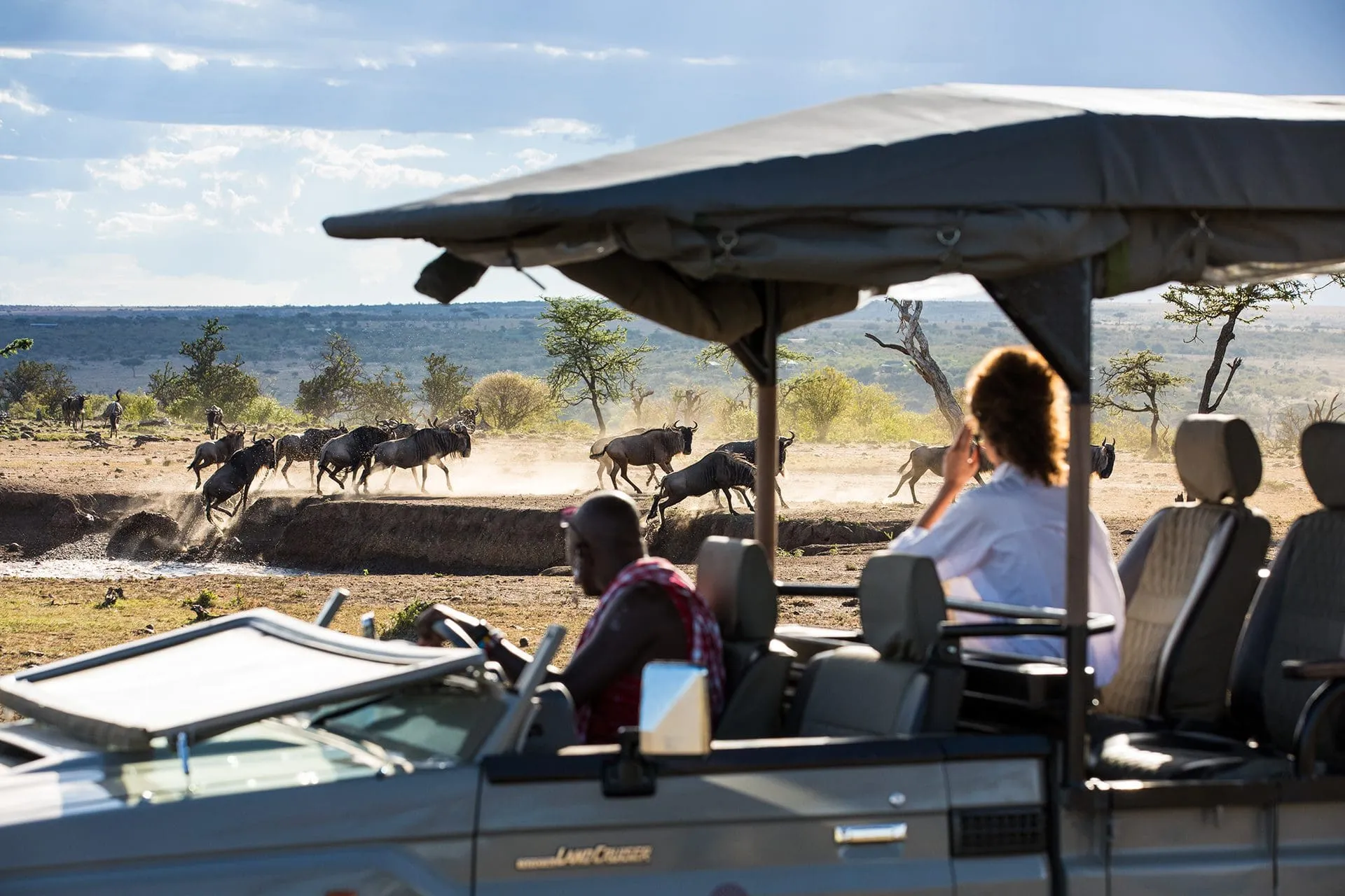 Game drives during the migration season