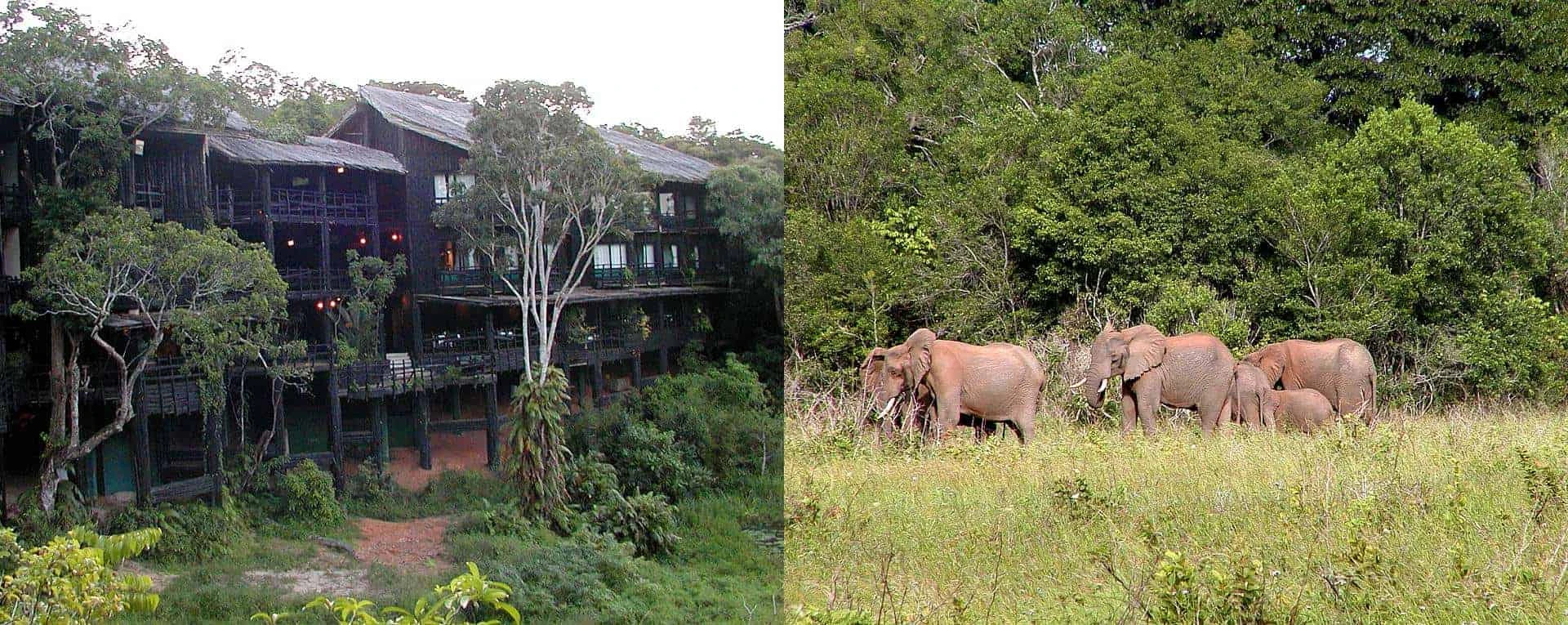 shimba hills is found in which county - elephant