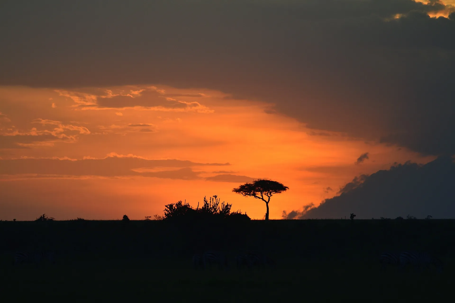 Morning sunrise in Kenya