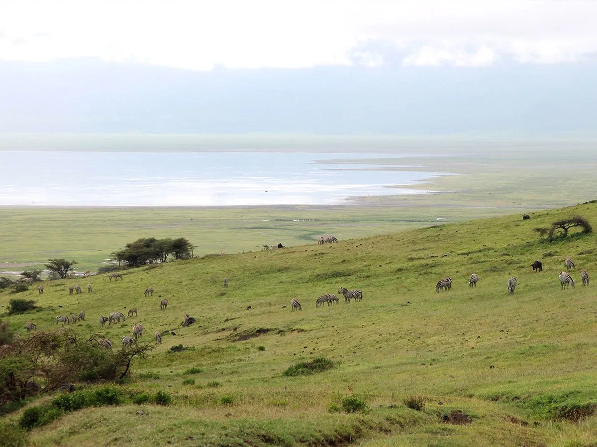 A view of Ngorongoro crater