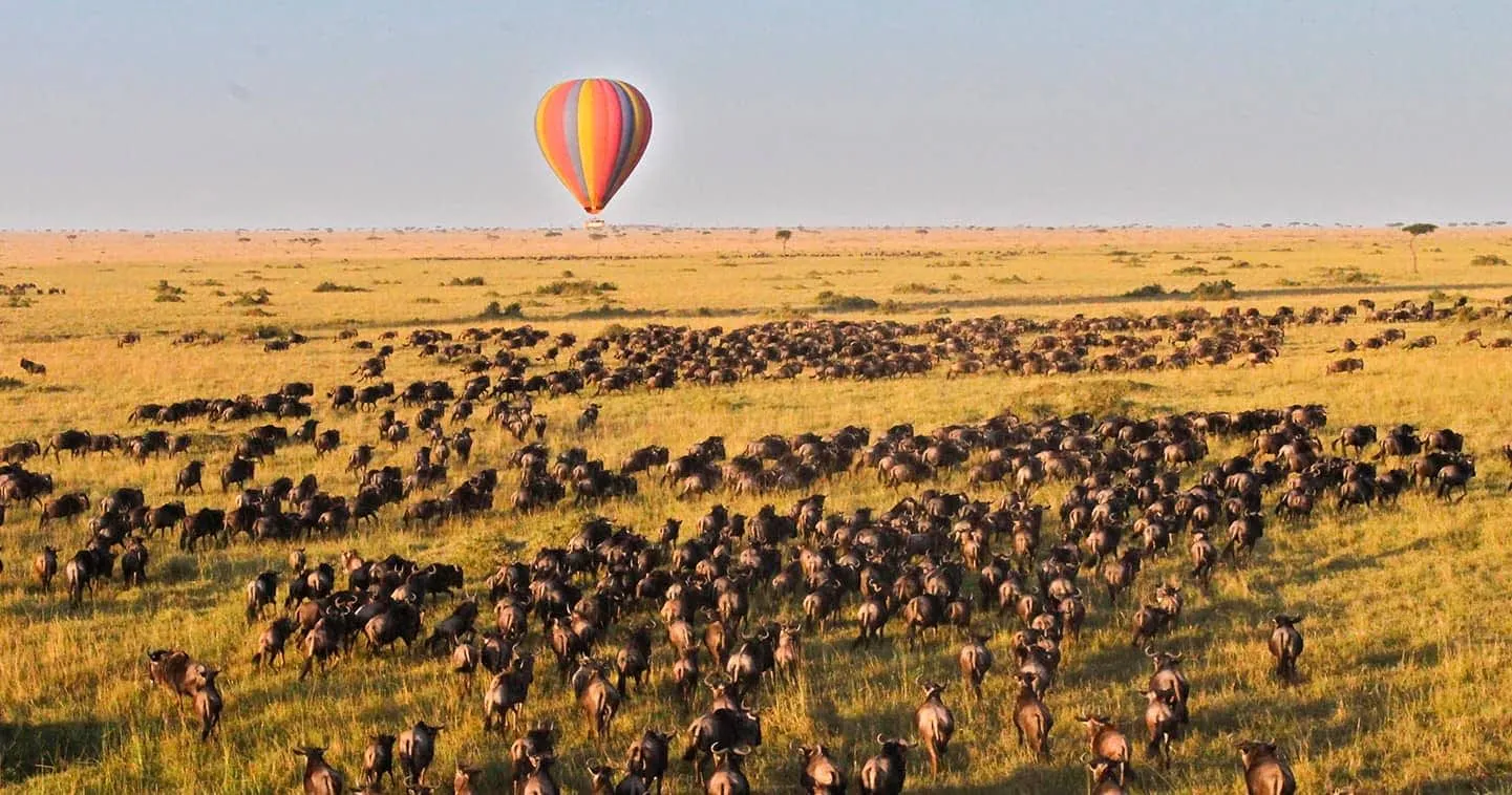 hot air balloon over the Mara during migration