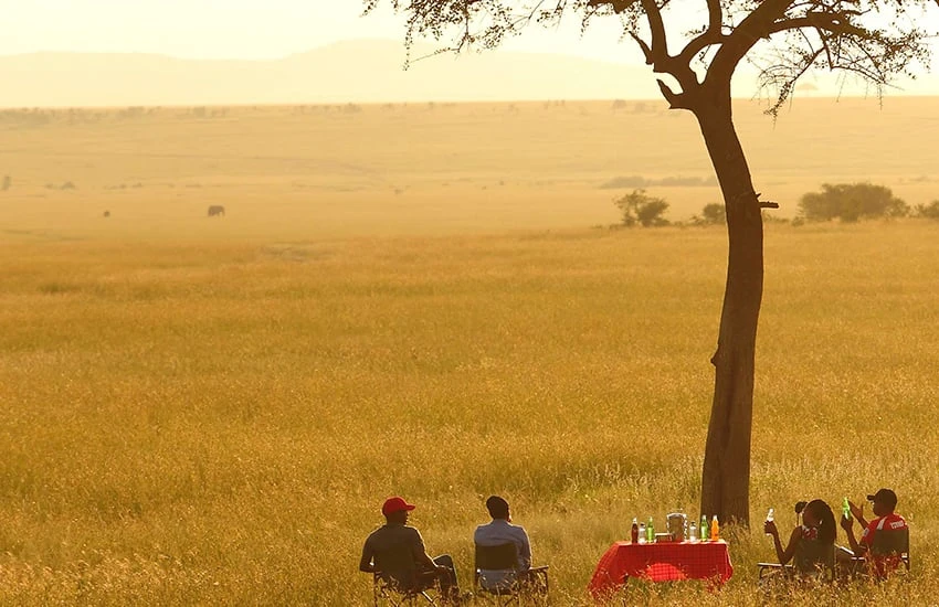 A View of Masai Mara with sundowner