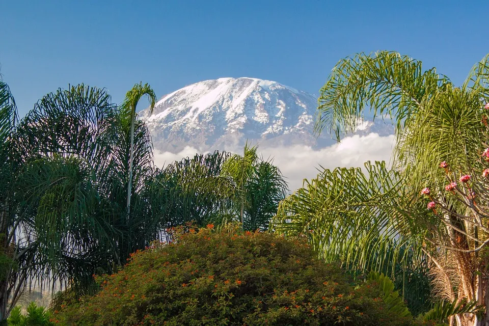 view of mount kilimanjaro