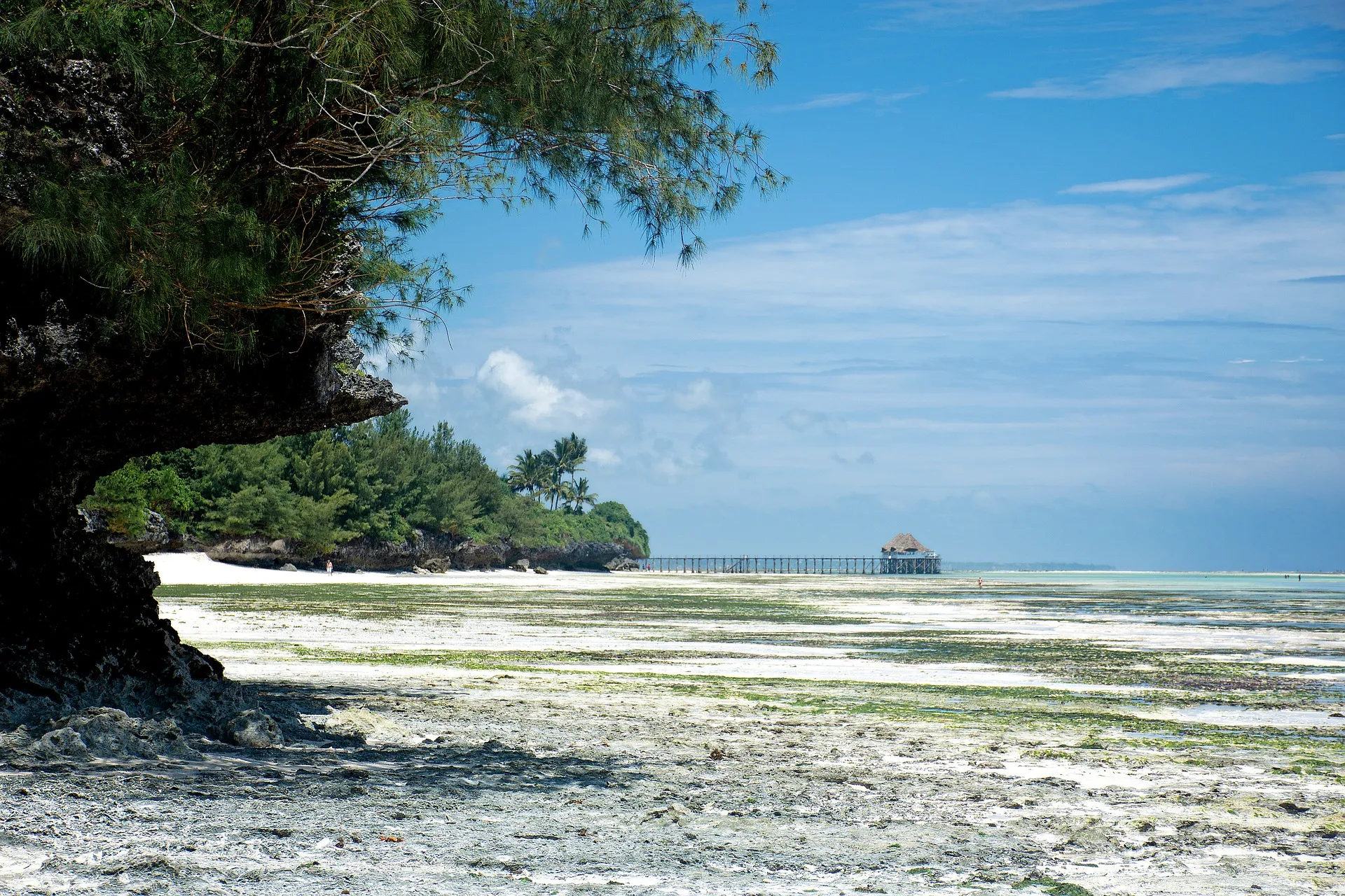 A view of zanzibar island