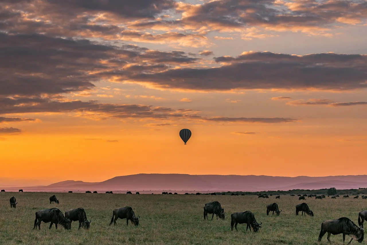 wildebeest migration - hot air balloon