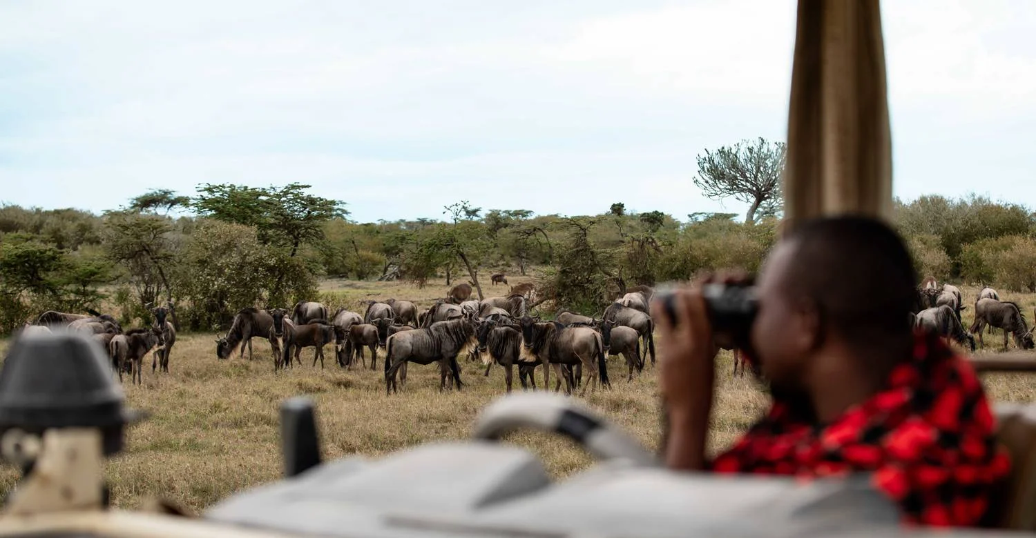 Enjoying game drive