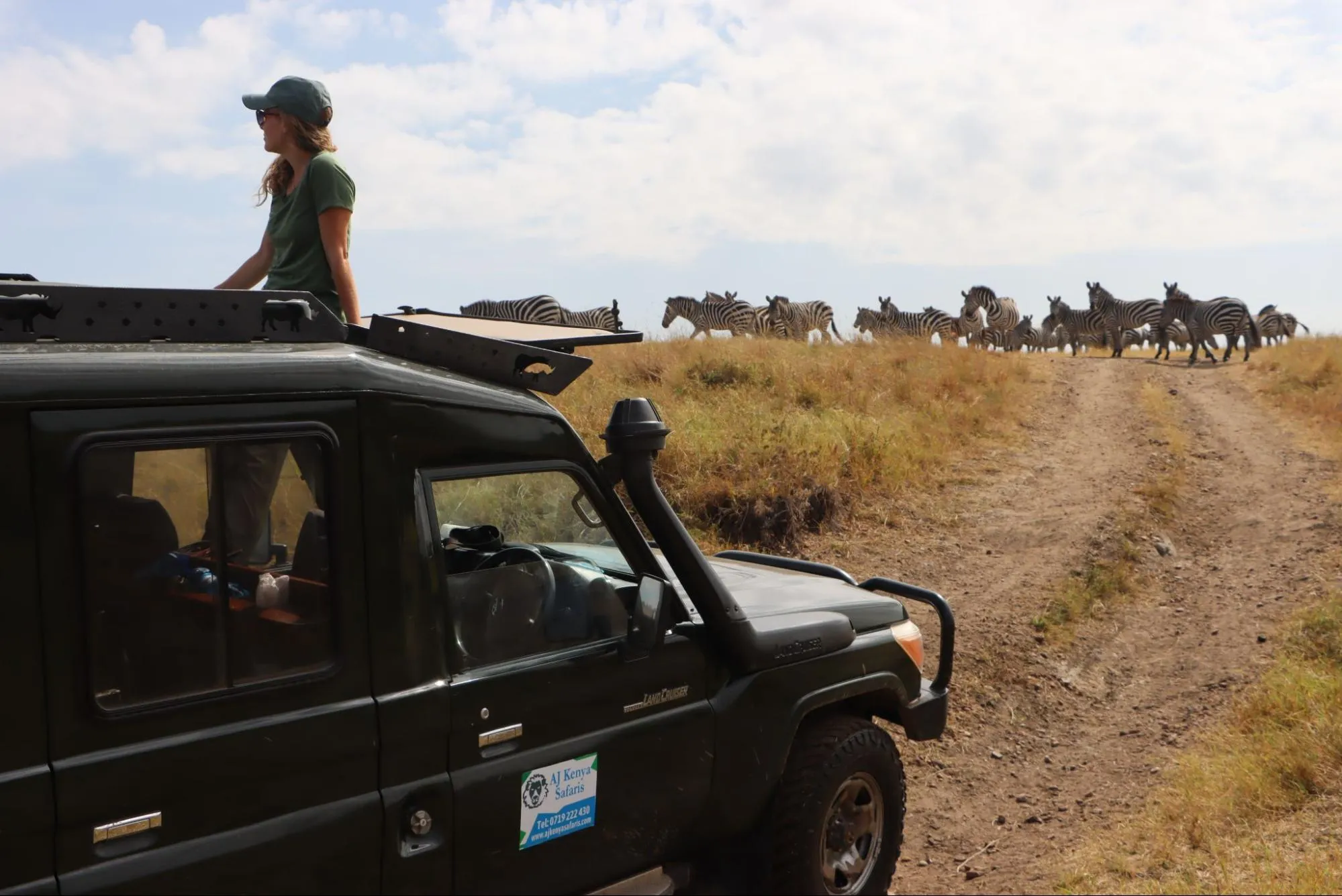 Game drives using a safari vehicle