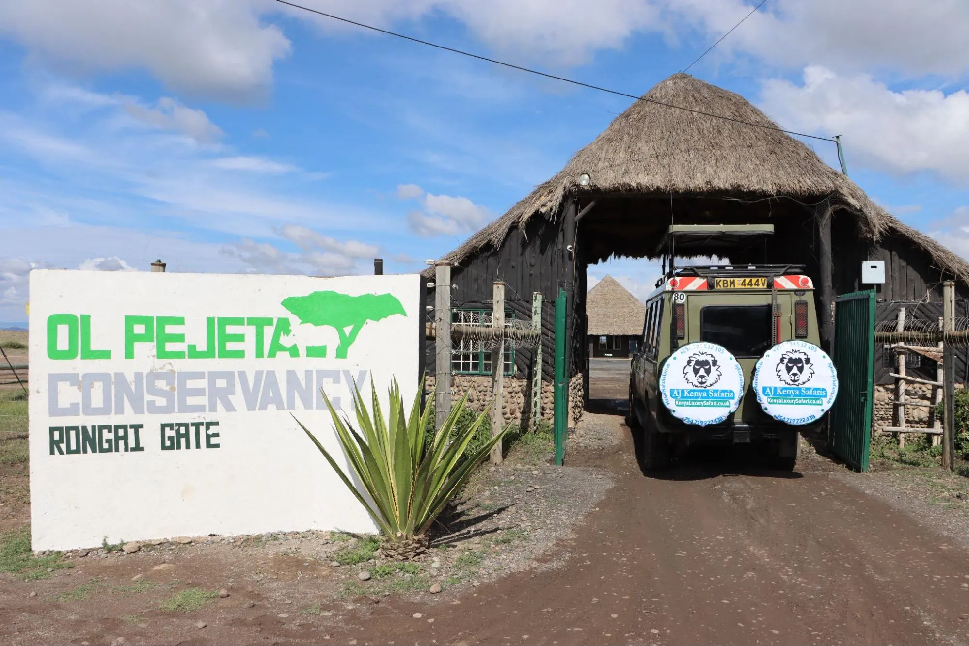 safari vehicle to ol pejeta conservancy