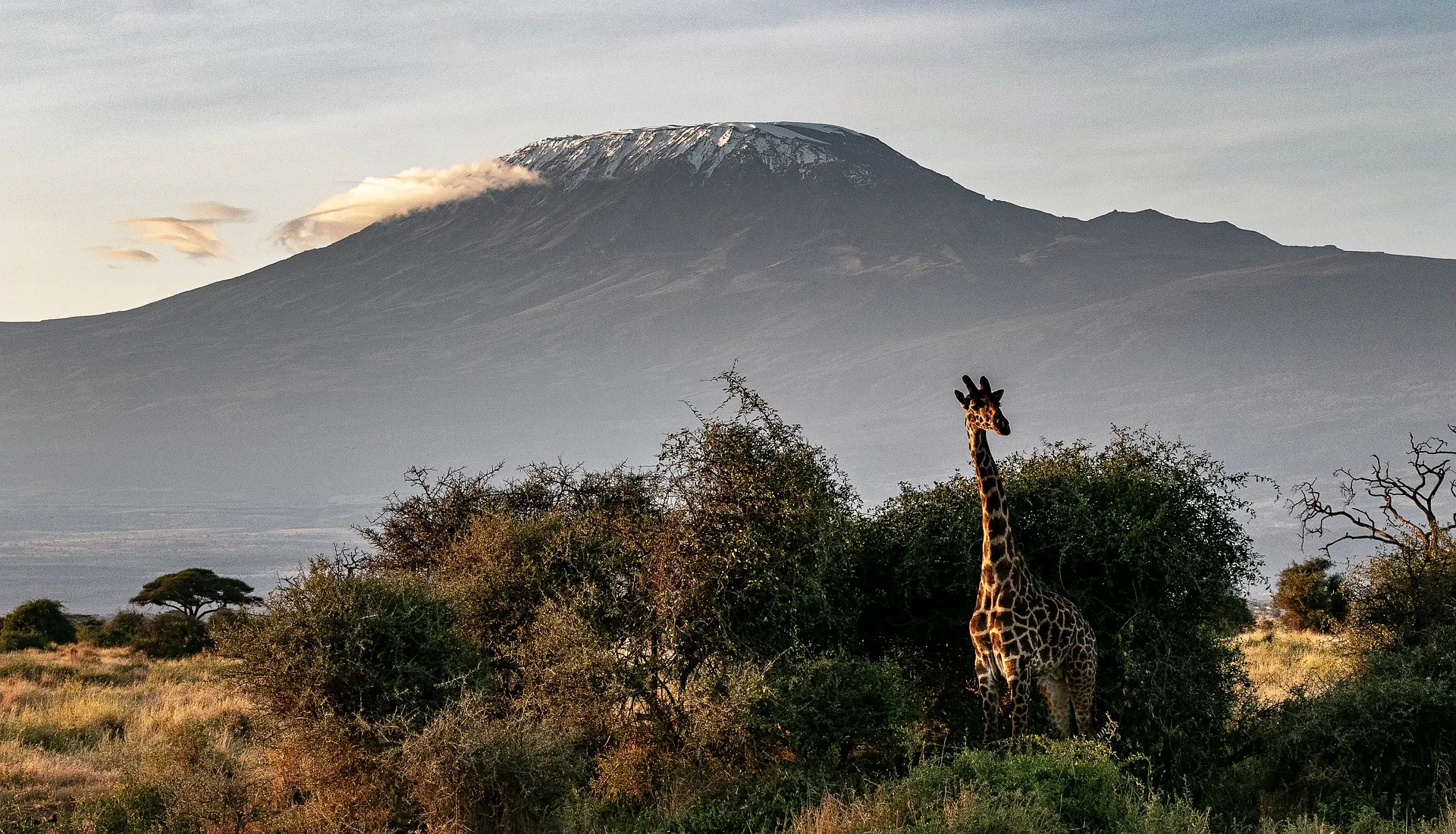 hike kilimanjaro with ajkenyasafaris.com