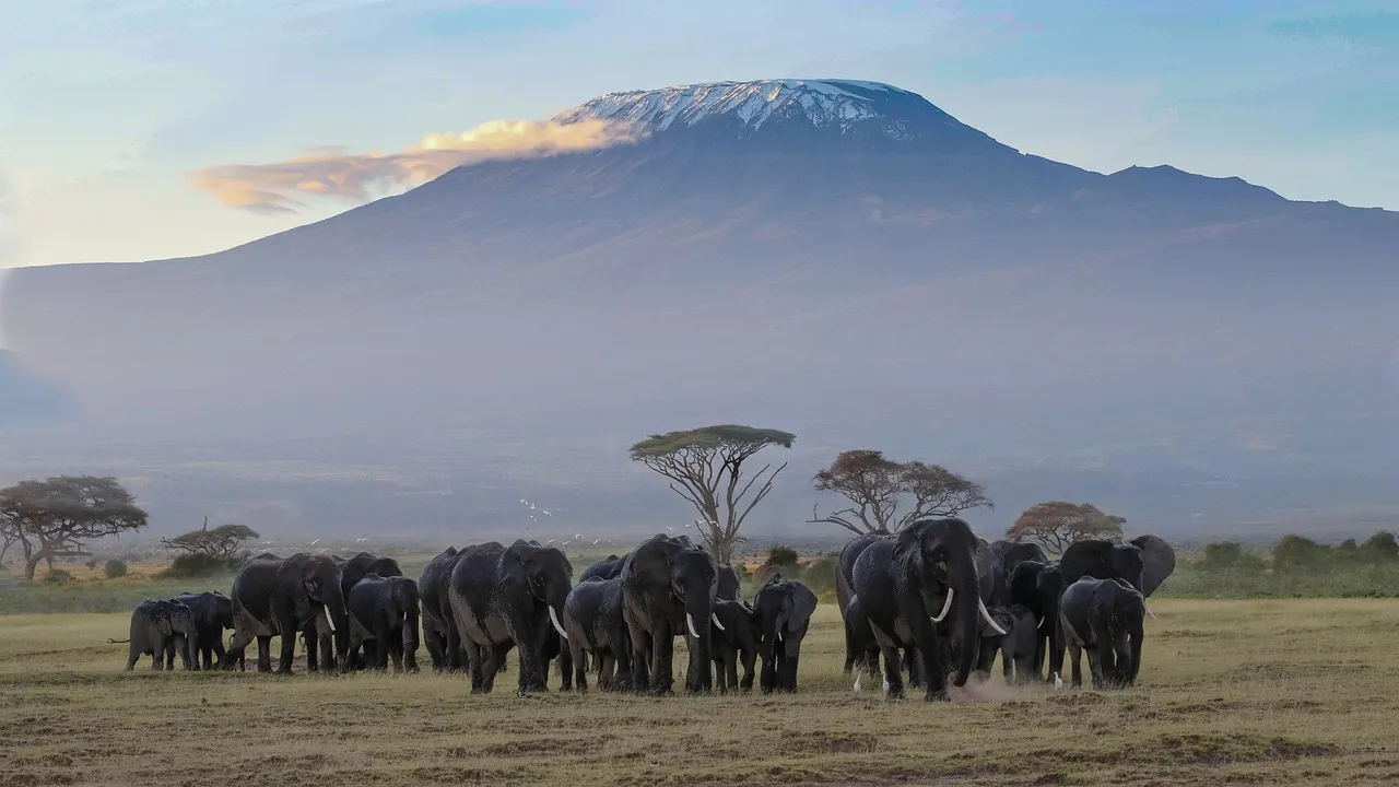 Mount kilimanjaro view from Amboseli