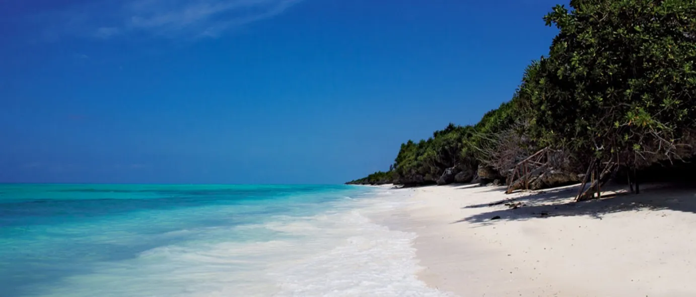 View of zanzibar beach