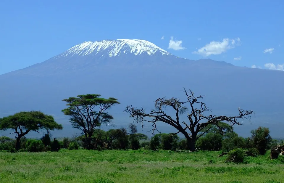 View of mount Kilimanjaro