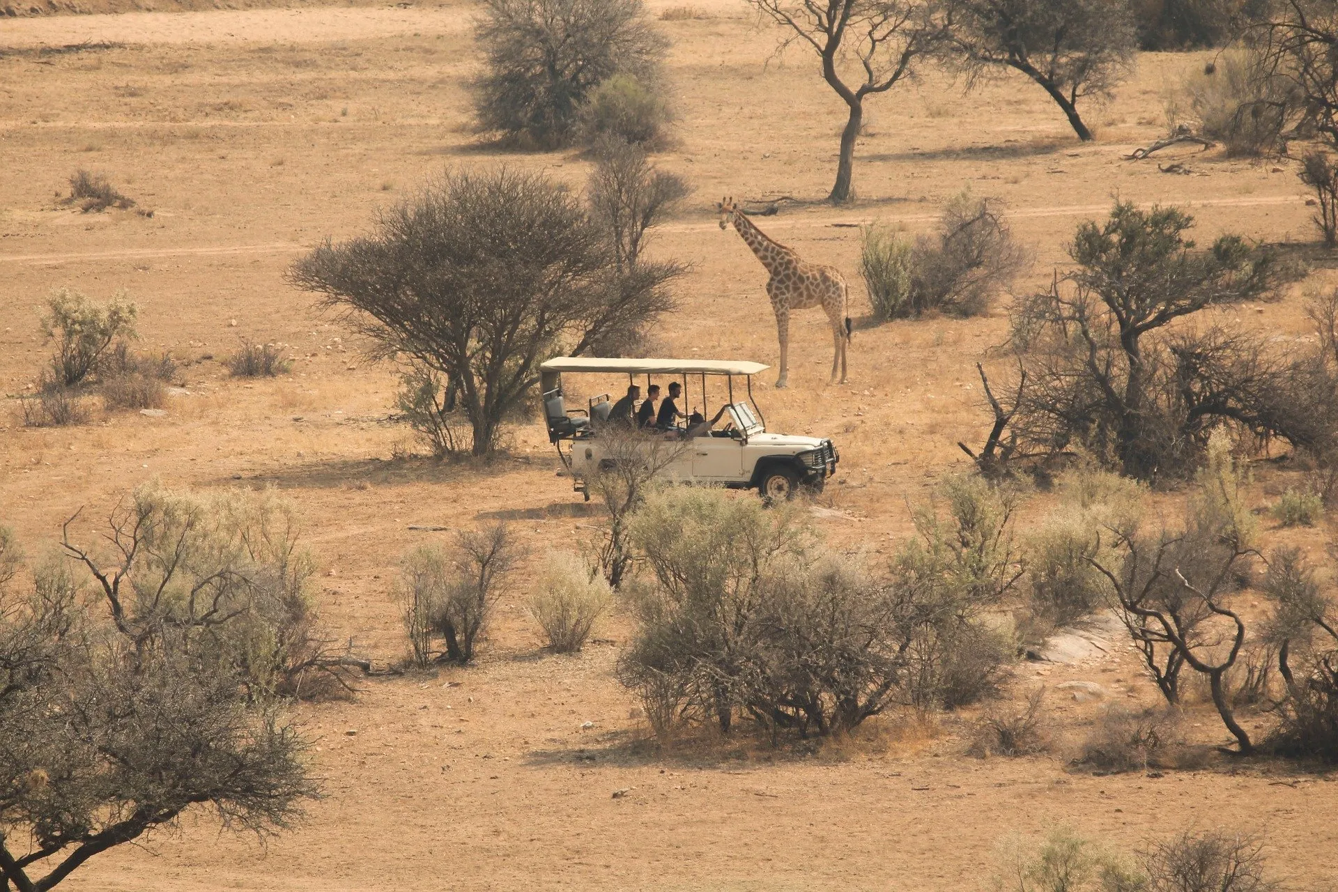 game drives in an open safari land cruiser