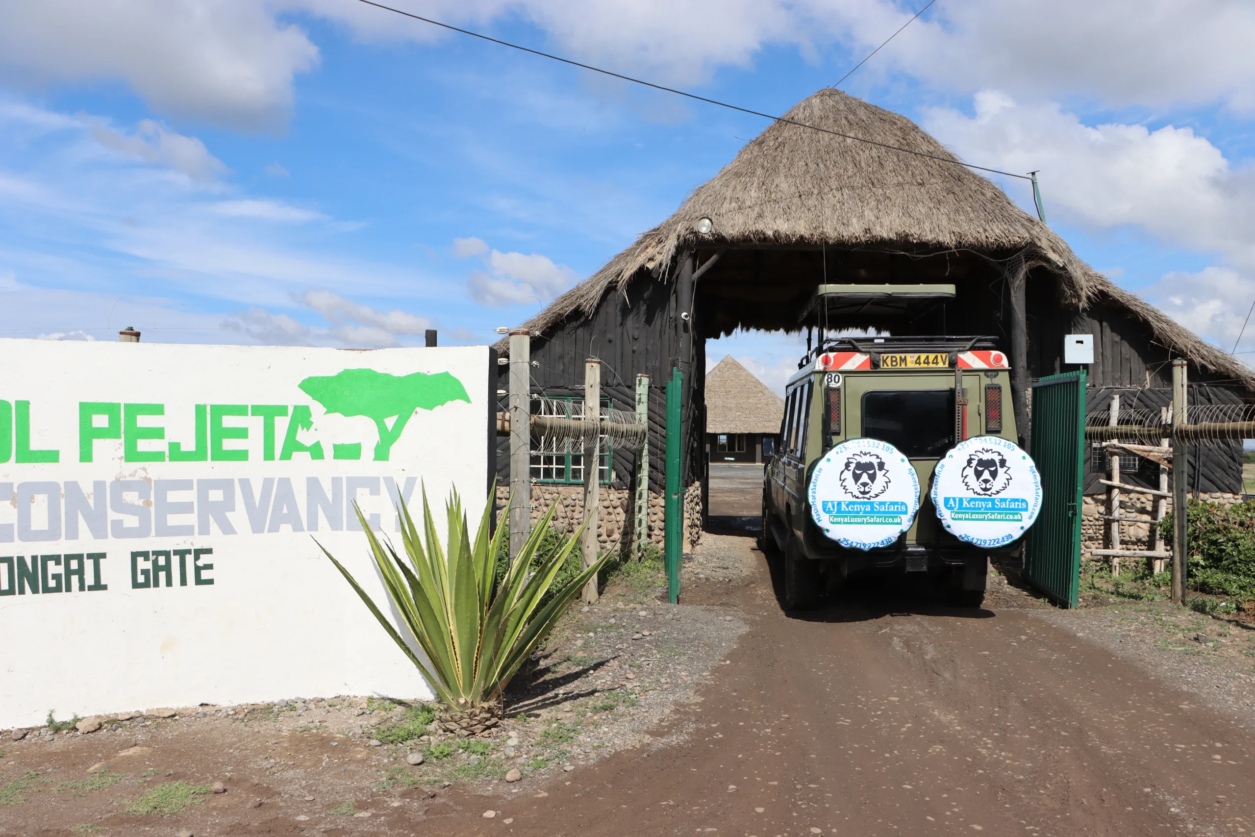 Safari drives to Ol Pejeta Conservancy