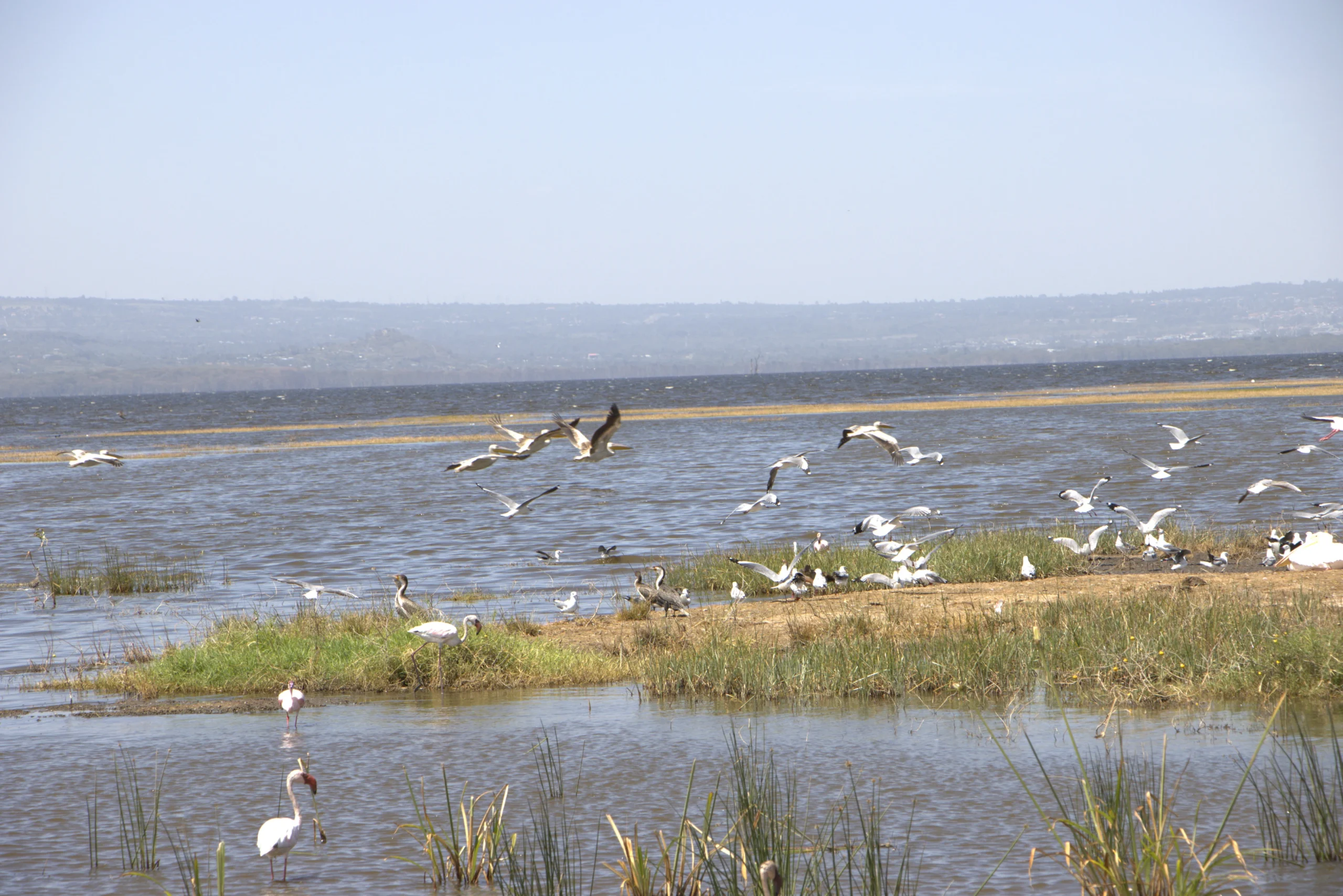 2-Day Hell’s Gate & Lake Nakuru Safari