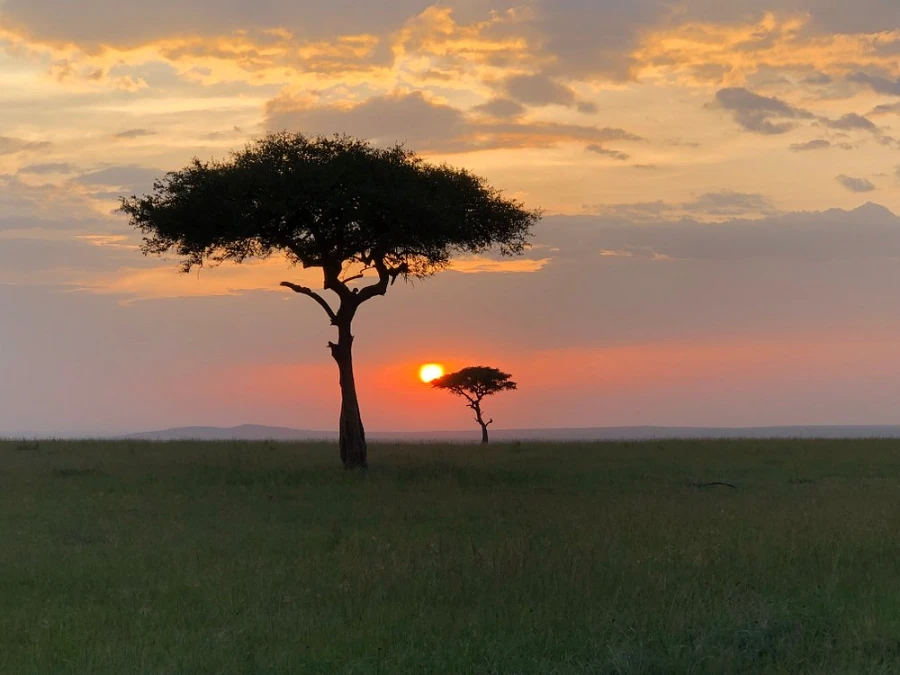 5 days masai mara safari mid-range 