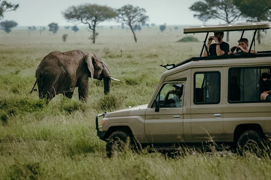 5 days masai mara luxury safari