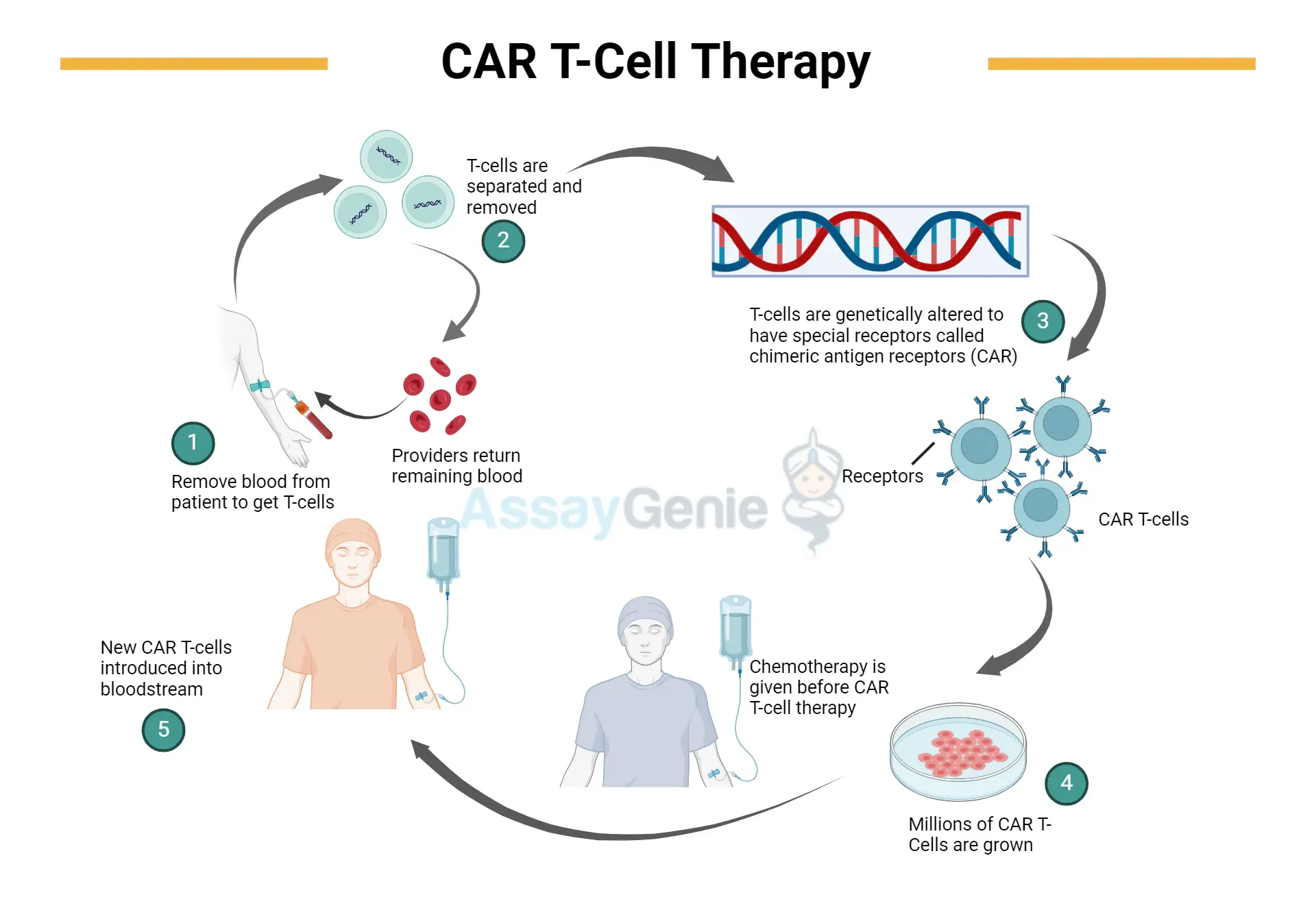 India treatment for cancer