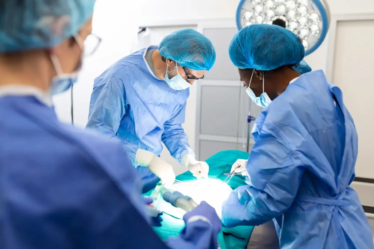 kidney transplant in india cost - surgeon at word